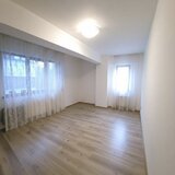 Brancusi Drumul Taberei